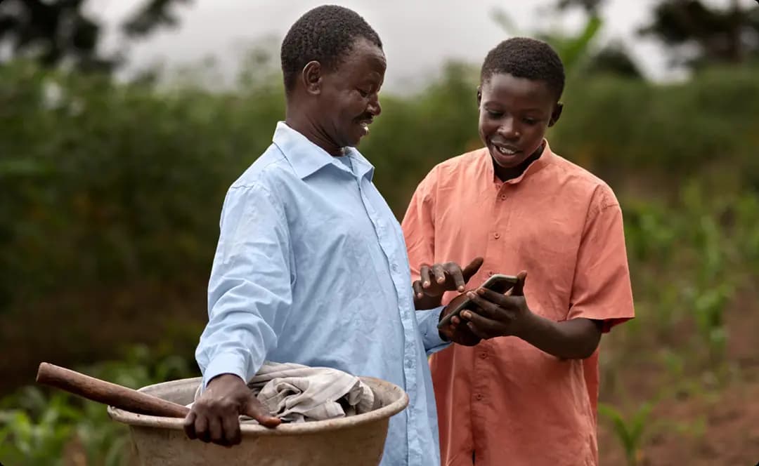 Overview
